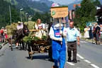 Bezirksmusikfest Aurach Bild 14