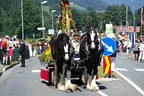 Bezirksmusikfest Aurach Bild 23