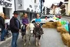 Servus_herbstfest Bild 6