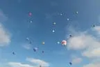 Balloncup Bild 11