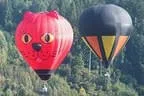Balloncup Bild 13