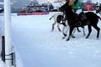 Snow_Polo_2013 Bild 6