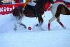Snow_Polo_2013 Bild 8