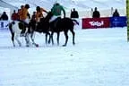 Snow_Polo_2013 Bild 9