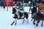 Snow_Polo_2013 Bild 11