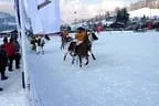 Snow_Polo_2013 Bild 12