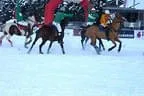 Snow_Polo_2013 Bild 17
