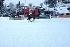 Snow_Polo_2013 Bild 21