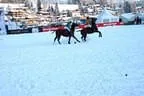 Snow_Polo_2013 Bild 23