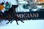 Snow_Polo_2013 Bild 27