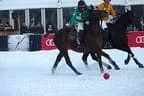 Snow_Polo_2013 Bild 32