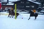 Snow_Polo_2013 Bild 36
