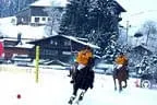 Snow_Polo_2013 Bild 38