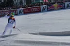 Hahnenkammrennen_Abfahrt Bild 29
