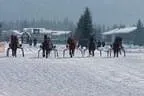 Trabrennen_Kitzbuehel_2013