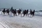Trabrennen_Kitzbuehel_2013 Bild 1