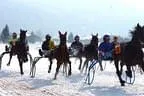 Trabrennen_Kitzbuehel_2013 Bild 2