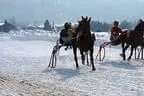Trabrennen_Kitzbuehel_2013 Bild 6