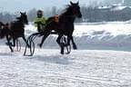 Trabrennen_Kitzbuehel_2013 Bild 7