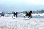 Trabrennen_Kitzbuehel_2013 Bild 9