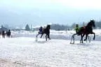 Trabrennen_Kitzbuehel_2013 Bild 10