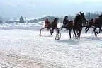 Trabrennen_Kitzbuehel_2013 Bild 11