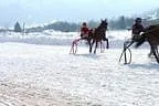 Trabrennen_Kitzbuehel_2013 Bild 12