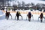 Trabrennen_Kitzbuehel_2013 Bild 17