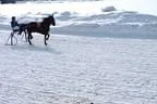 Trabrennen_Kitzbuehel_2013 Bild 19