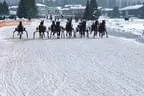Trabrennen_Kitzbuehel_2013 Bild 20