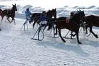Trabrennen_Kitzbuehel_2013 Bild 23