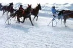Trabrennen_Kitzbuehel_2013 Bild 24