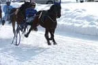 Trabrennen_Kitzbuehel_2013 Bild 25