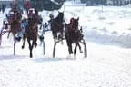 Trabrennen_Kitzbuehel_2013 Bild 26