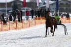 Trabrennen_Kitzbuehel_2013 Bild 31