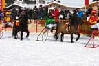 Trabrennen_Kitzbuehel_2013 Bild 32