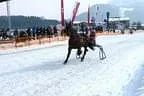 Trabrennen_Kitzbuehel_2013 Bild 33