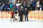 Trabrennen_Kitzbuehel_2013 Bild 34