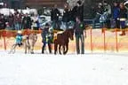 Trabrennen_Kitzbuehel_2013 Bild 35