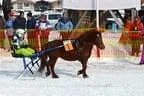 Trabrennen_Kitzbuehel_2013 Bild 42