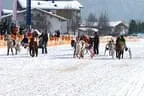 Trabrennen_Kitzbuehel_2013 Bild 43