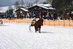 Trabrennen_Kitzbuehel_2013 Bild 45