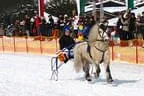 Trabrennen_Kitzbuehel_2013 Bild 49