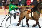 Trabrennen_Kitzbuehel_2013 Bild 51