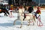 Trabrennen_Kitzbuehel_2013 Bild 53