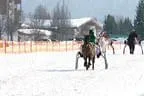Trabrennen_Kitzbuehel_2013 Bild 54