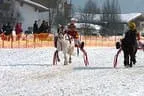 Trabrennen_Kitzbuehel_2013 Bild 55
