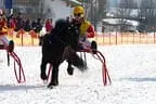 Trabrennen_Kitzbuehel_2013 Bild 57