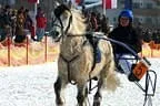 Trabrennen_Kitzbuehel_2013 Bild 59