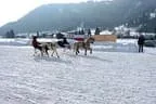 Trabrennen_Kitzbuehel_2013 Bild 62